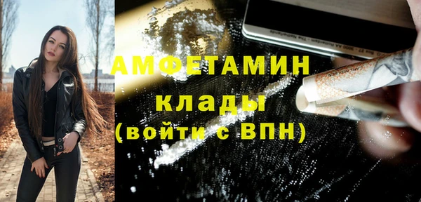 крисы Надым