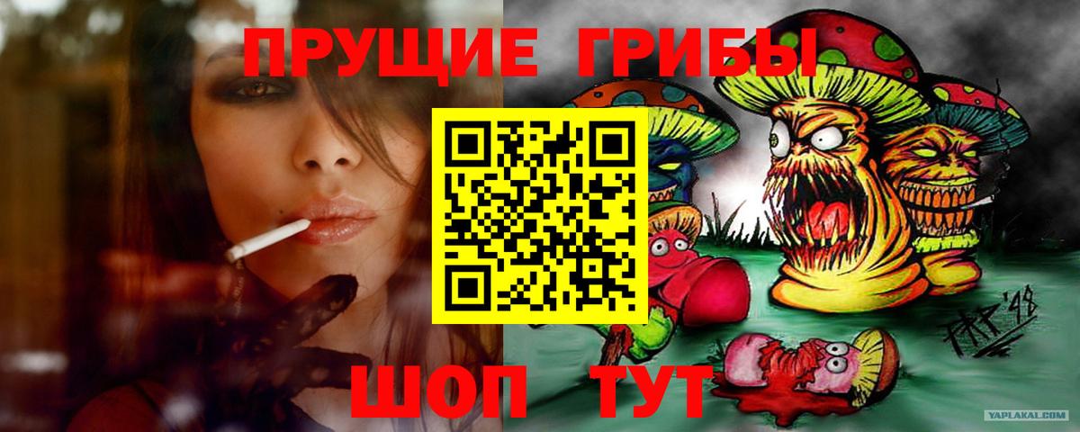 APVP Санкт-Петербург
