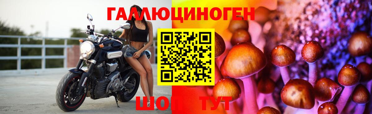 Галлюциногенные грибы Psilocybe  Санкт-Петербург 