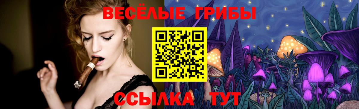 Псилоцибиновые грибы ЛСД Санкт-Петербург